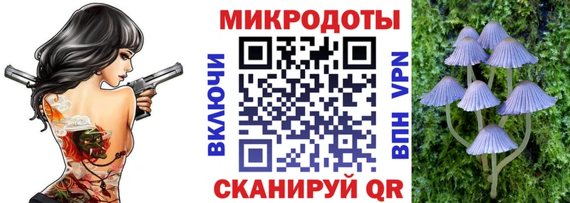 где купить наркоту  Новотитаровская  Галлюциногенные грибы мицелий 